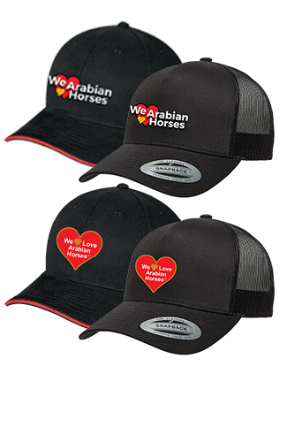 We Love Arabian Horses Ballcaps
