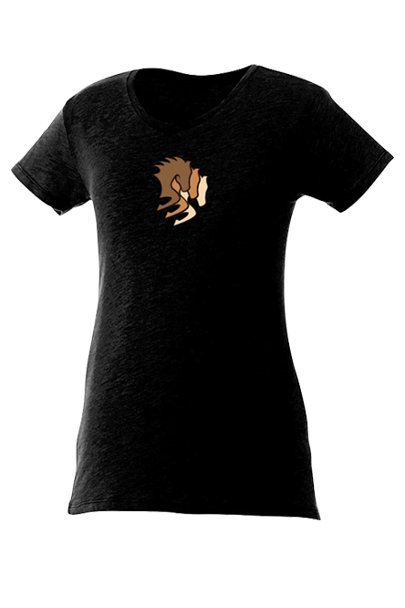 Horse Expo Canada Ladies Short Sleeve Tee Shirt